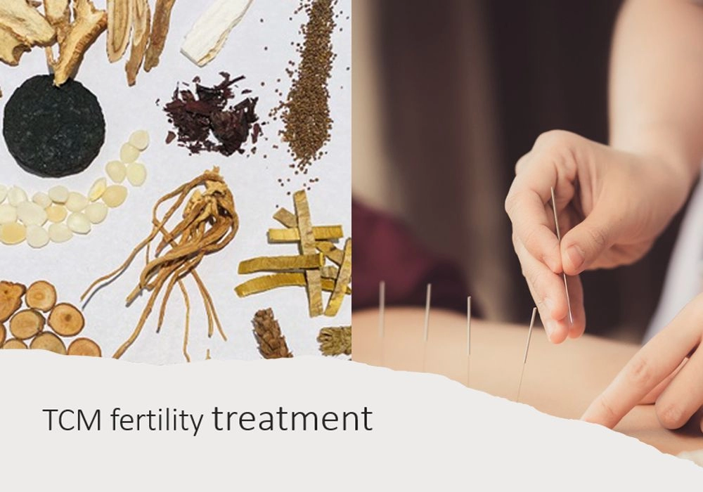 TCM in Fertility Treatment