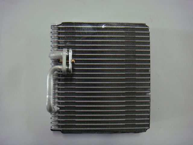 Naz Citra HCC PF (C)  [SWJ-CZ-158]