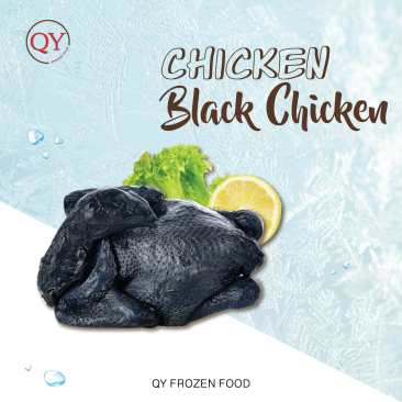 Black Chicken【Wholesale】