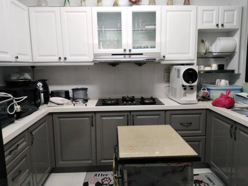 Solid Nyatoh Kitchen Cabinet