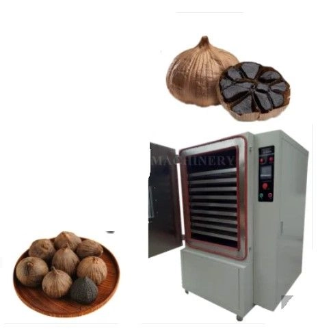 Food Drying Machinery