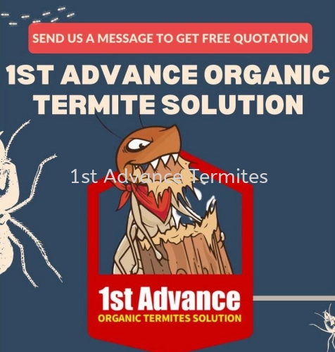 General Pest Control Services