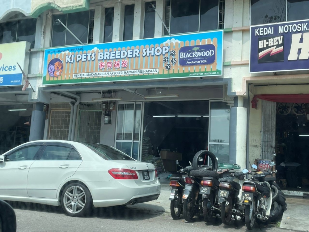 KJ Pets Breeder Shop