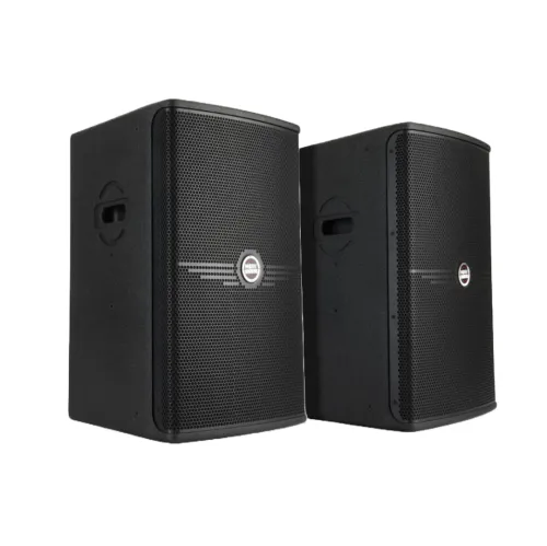 MBWS MP-6612 12" Professional Loudspeaker