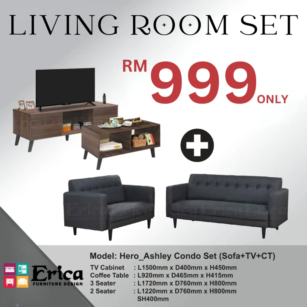 Living Room Set - Ashley Condo Set