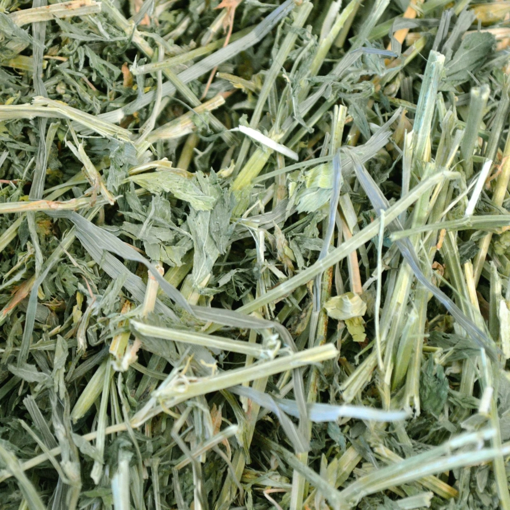 Oxbow Alfalfa Hay (9lb)