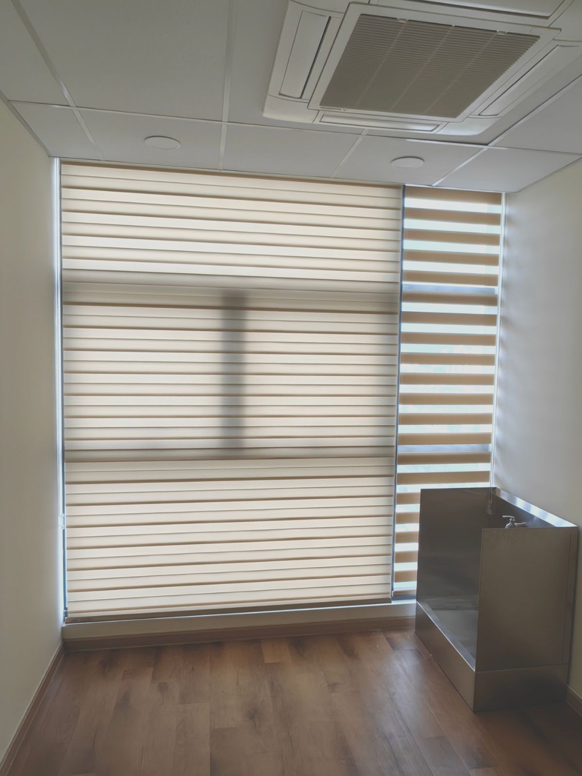 Zebra Blind