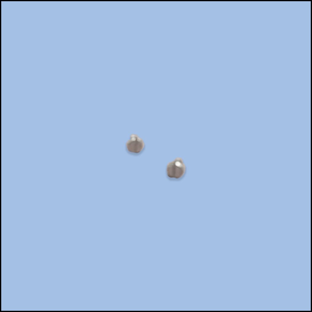 COVER GUARD SCREW 2900328 (LTG-A050B)