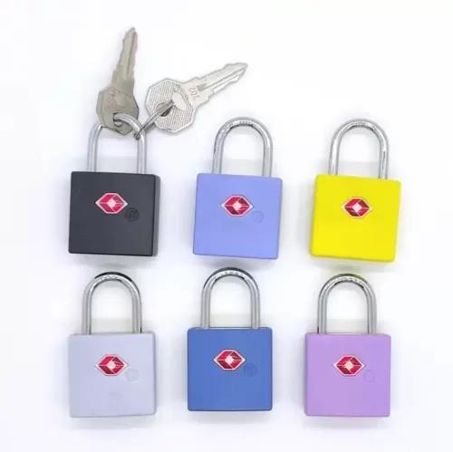 Customized BrassTSA Luggage Padlock