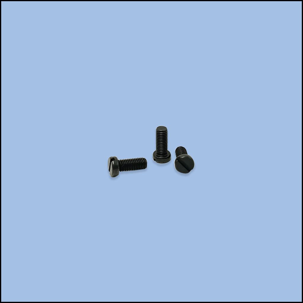 SCREW (101S11020)