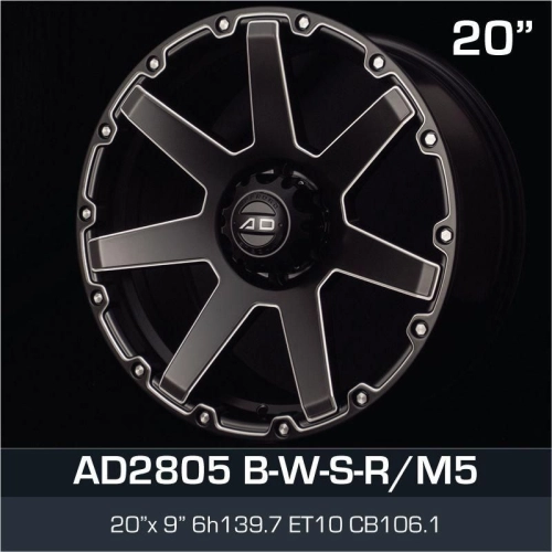 AD 20X9'' 2805