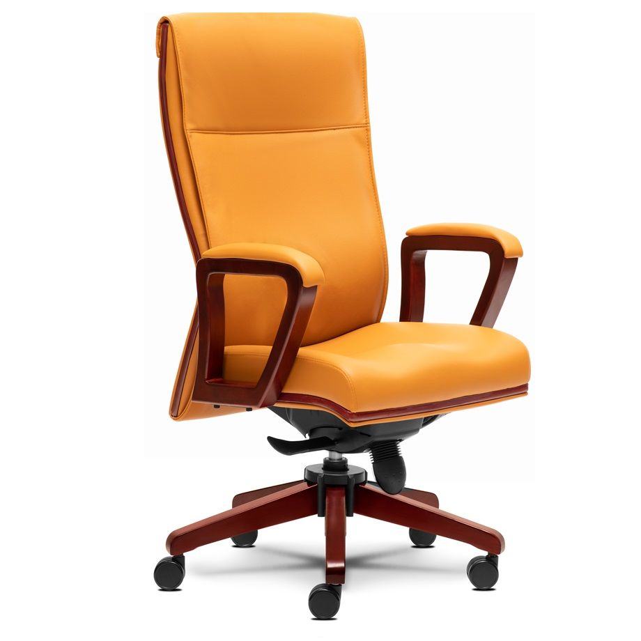 Director Office Chair