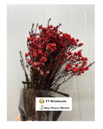 Wax Flower Filler | Delicate Stems for Floral Design