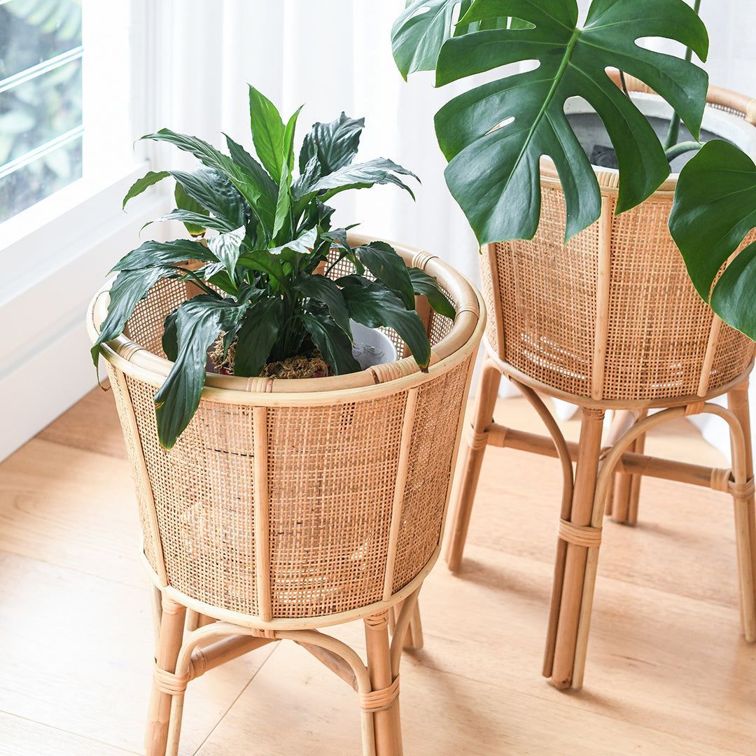 RAP 001 - RATTAN PLANTER