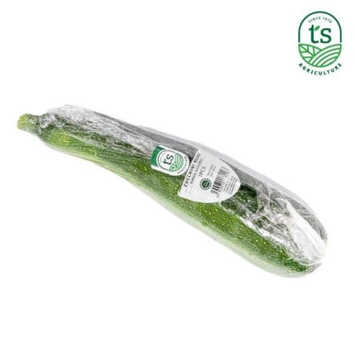 Green Zucchini 1PCS