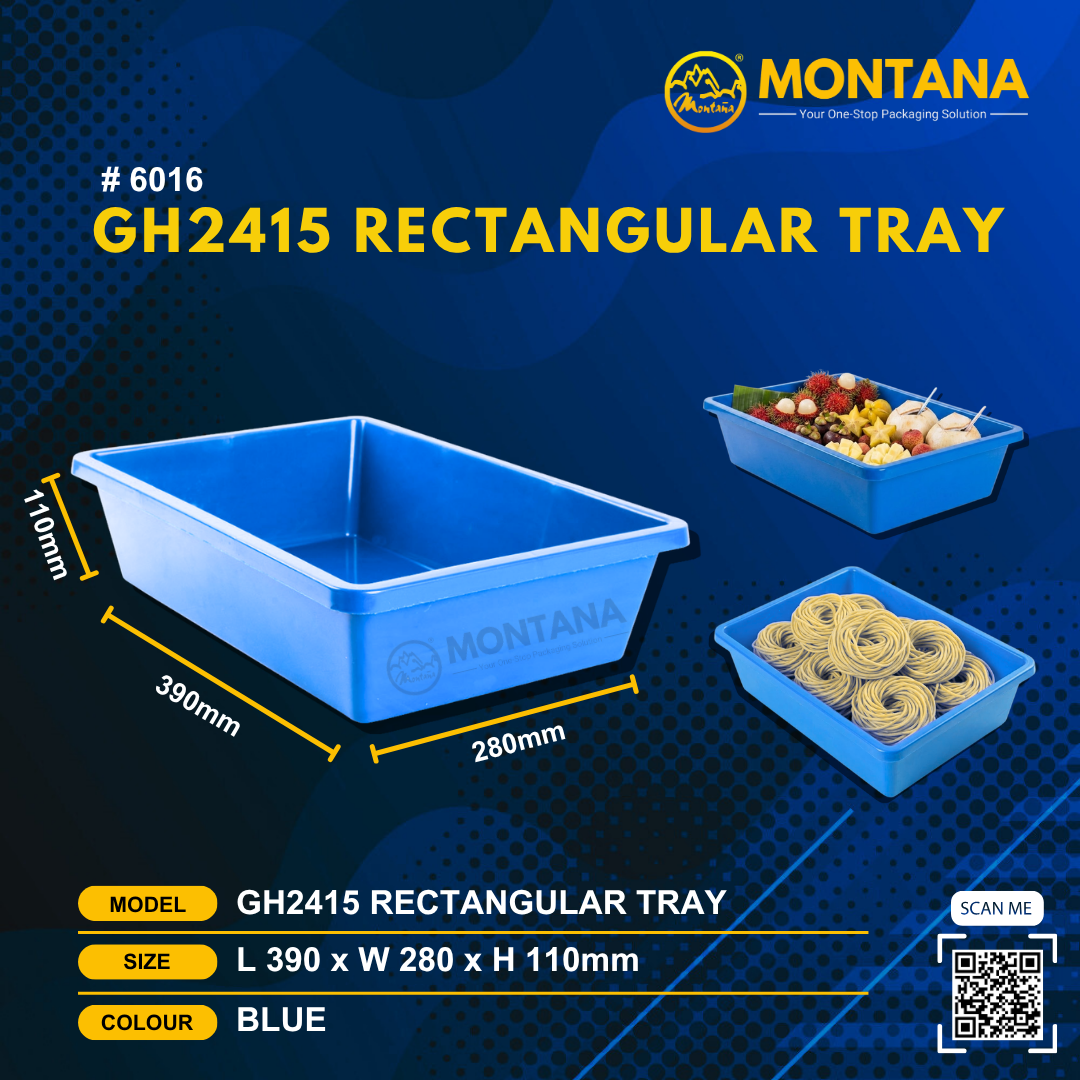 (6016) GH2415 RECTANGULAR TRAY