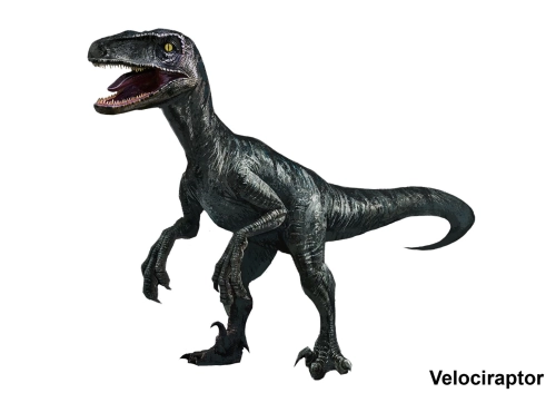 Velociraptor