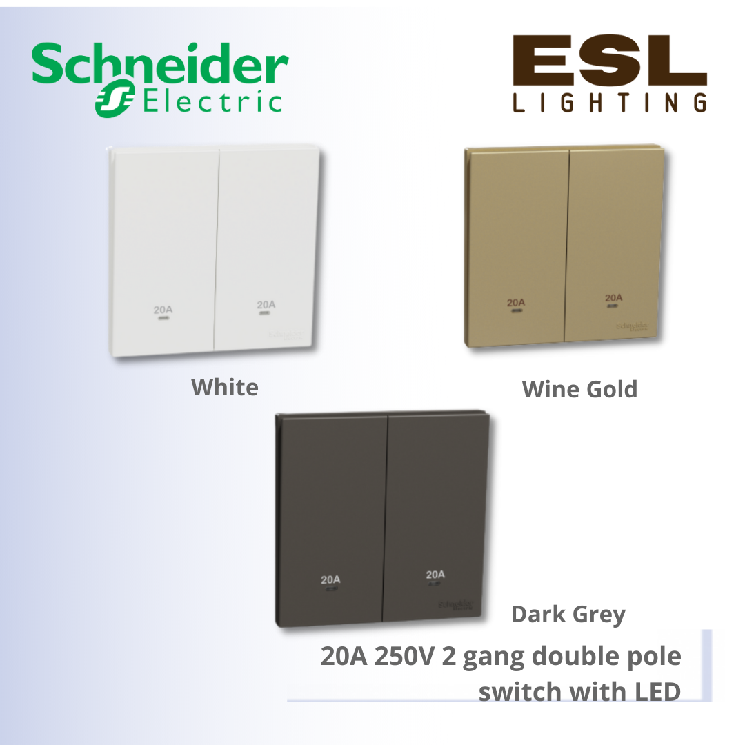 SCHNEIDER AvatarOn C 20A 250V 2 gang double pole switch with LED - E8732D20N_WE_G11 E8732D20N_WG_G11 E8732D20N_DG_G11