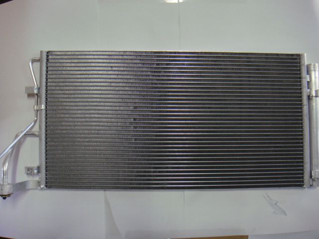 Naz Rondo HCC (C) [SWJ-300]