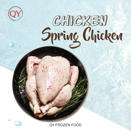 Spring Chicken【Wholesale】