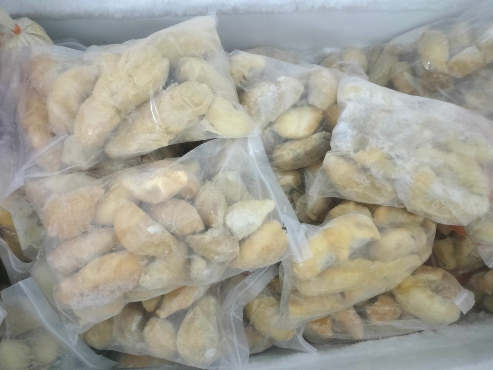 Frozen Durian