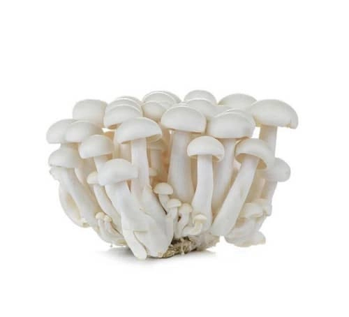 Shimeji Mushroom 白玉菇 125g (限麻坡區/Only Muar)