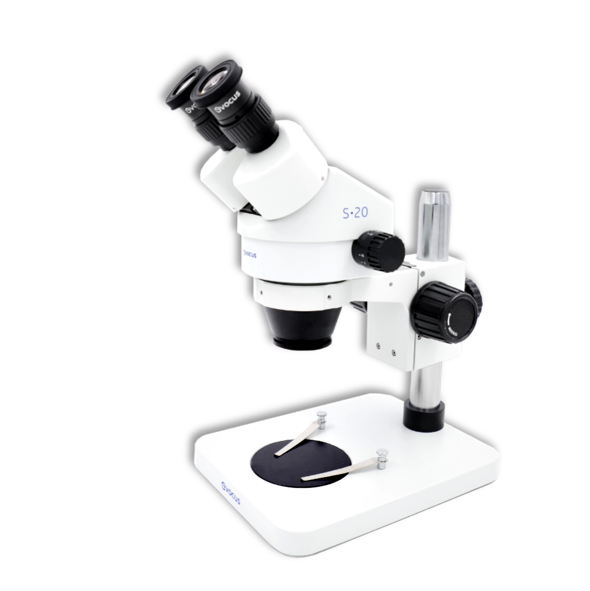 Evocus Stereo Microscope S20 Series
