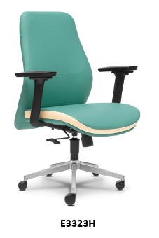 Low Back Chair (E3323H)
