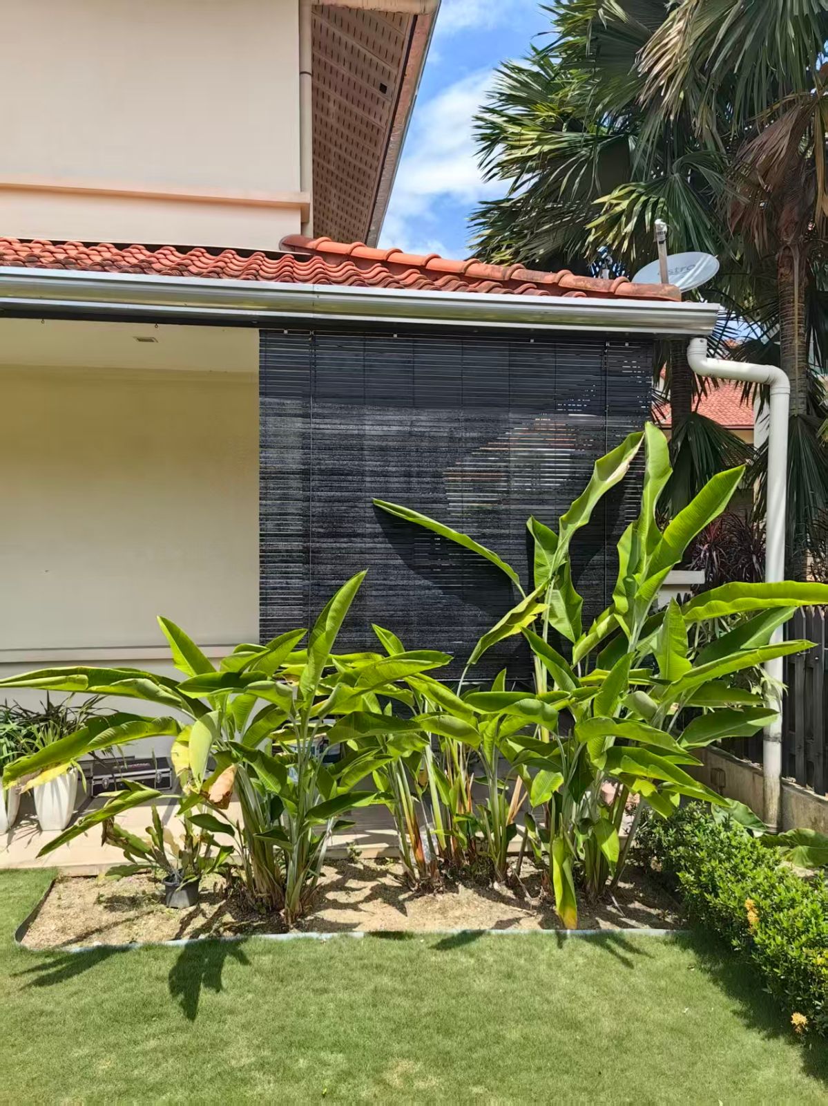 Outdoor Wooden Blind