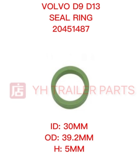 SEALING RING 