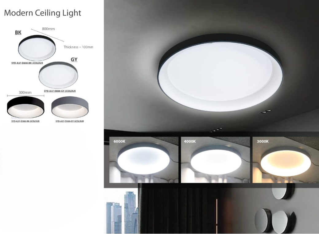 Modern Ceiling Light