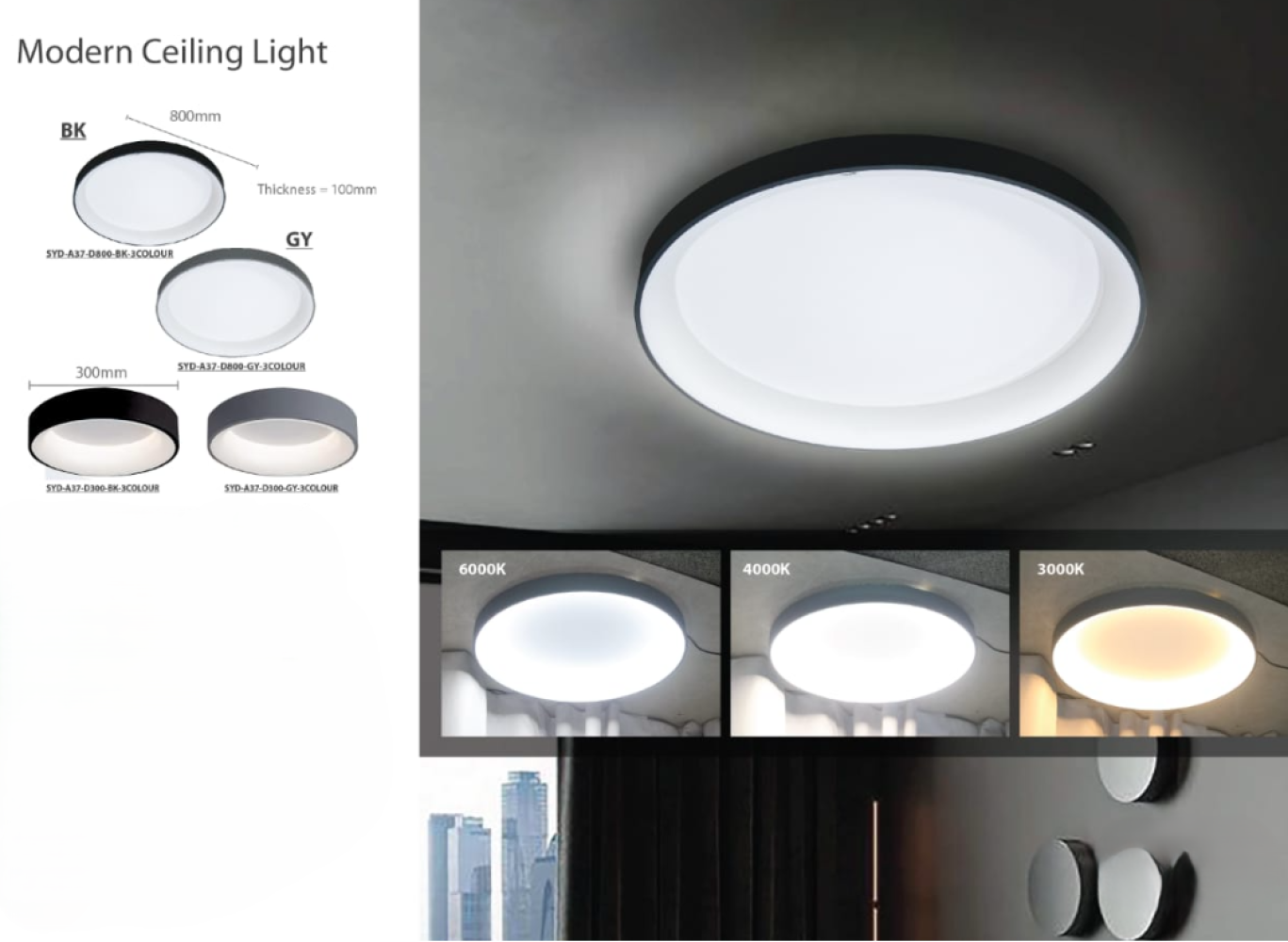 Modern Ceiling Light