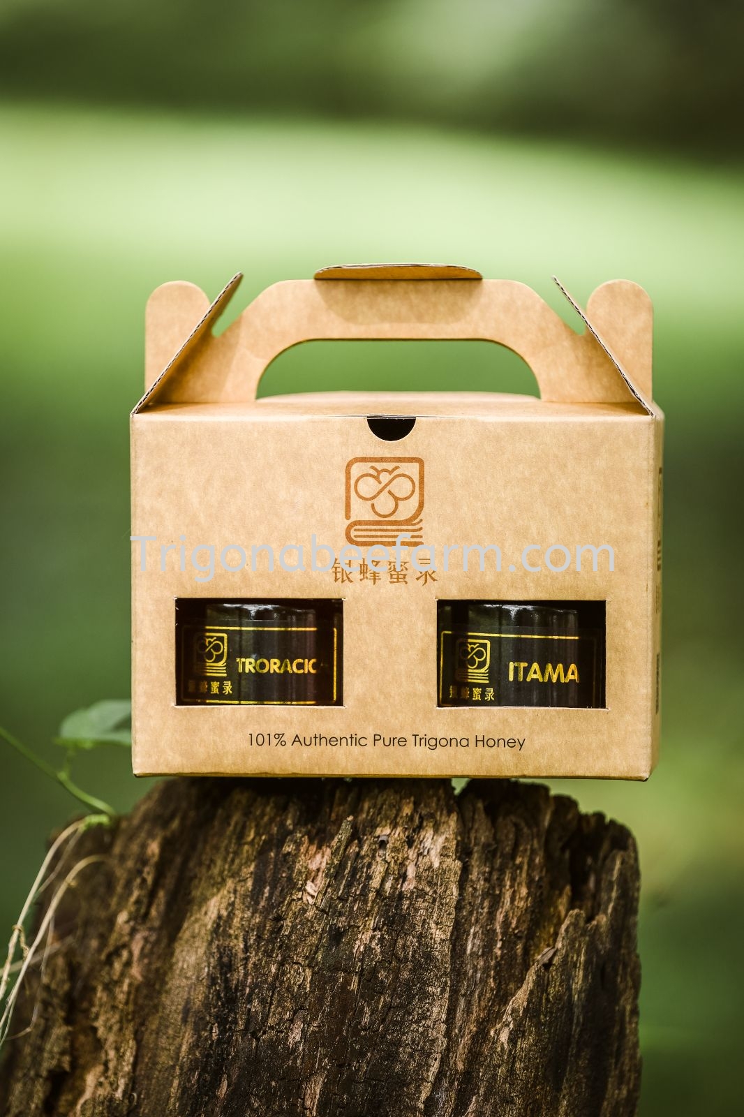 Trigona Honey Set 银蜂蜜配套