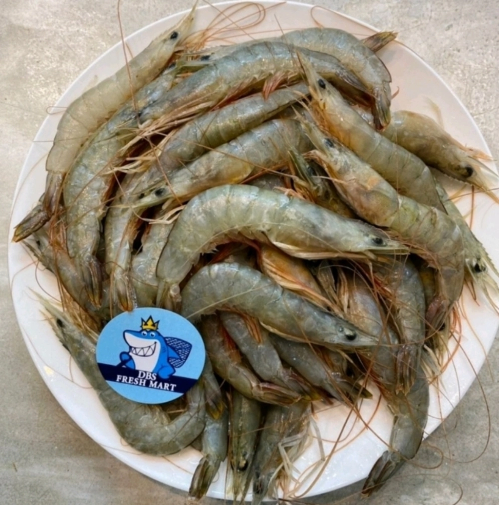 Local udang solo 500g B 45-50pcs Perpack