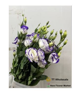 Eustoma Bouquets for Delivery – Graceful & Long-Lasting Flowers