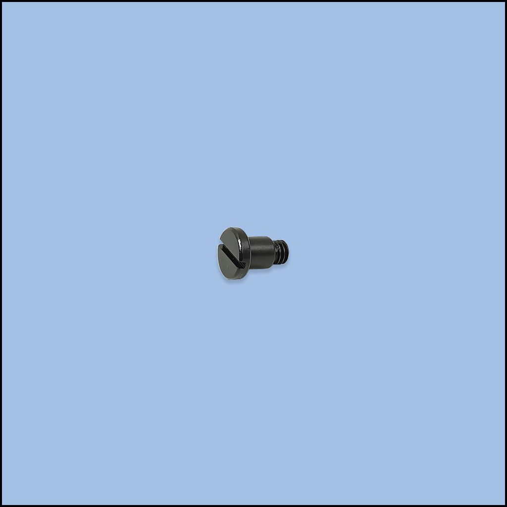 SCREW (310S20007)