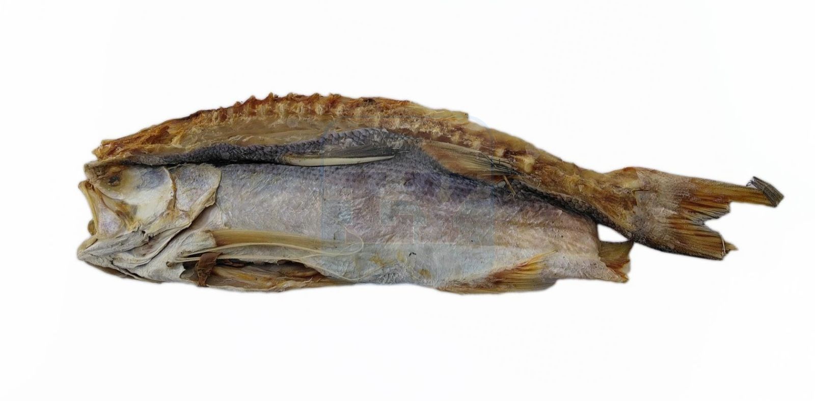 Ikan Masin Kurau Belah Besar *EKOR*