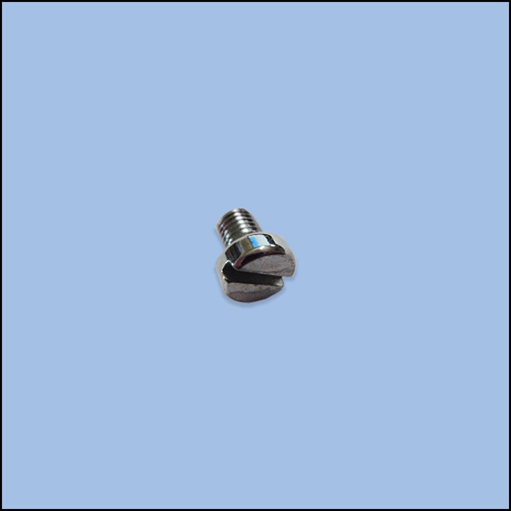 SCREW (101S11002)