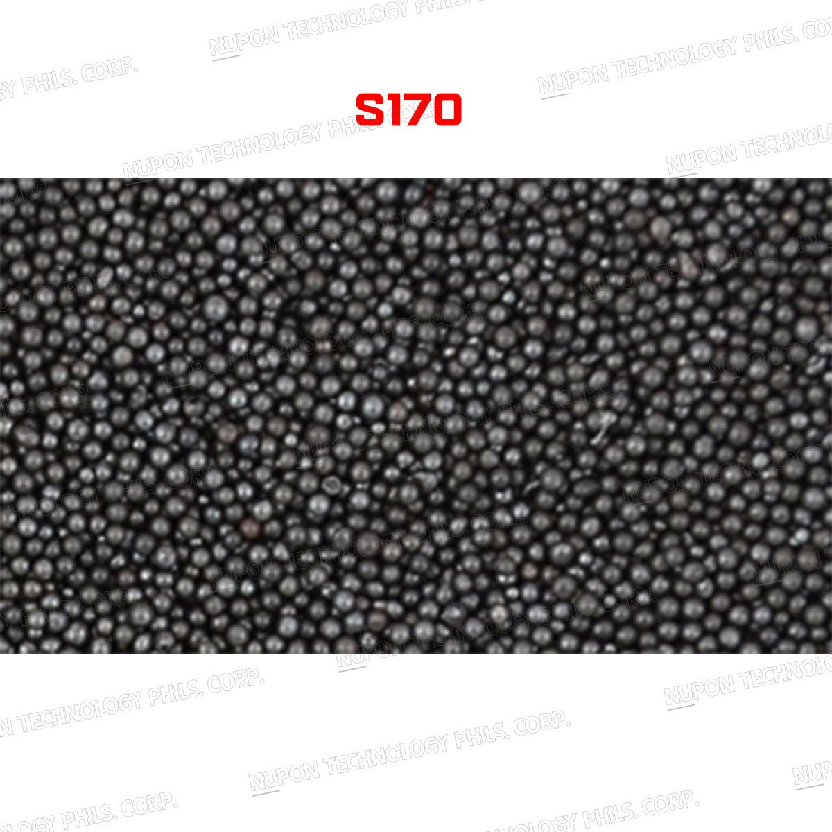 S170 Steel Shot