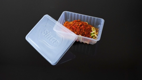 Food Tray-22a