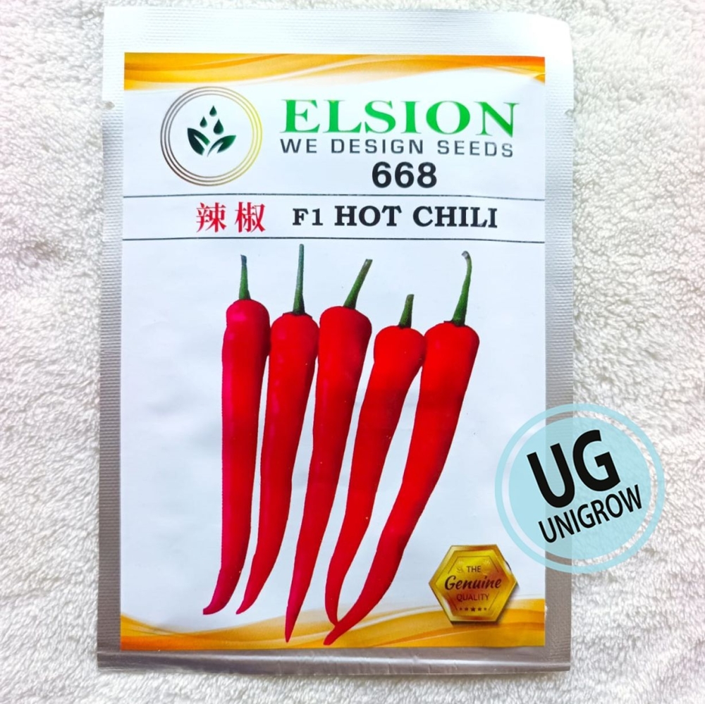 668 F1 Chili Kulai (10gm) 一代交配古来辣椒