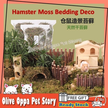 Dry Moss Hamster Bedding 100g/Lumut Hiasan/Hamster Wood/干苔藓 Hamster Natural Landscaping 天然森林苔藓 仓鼠造景 仓鼠垫料