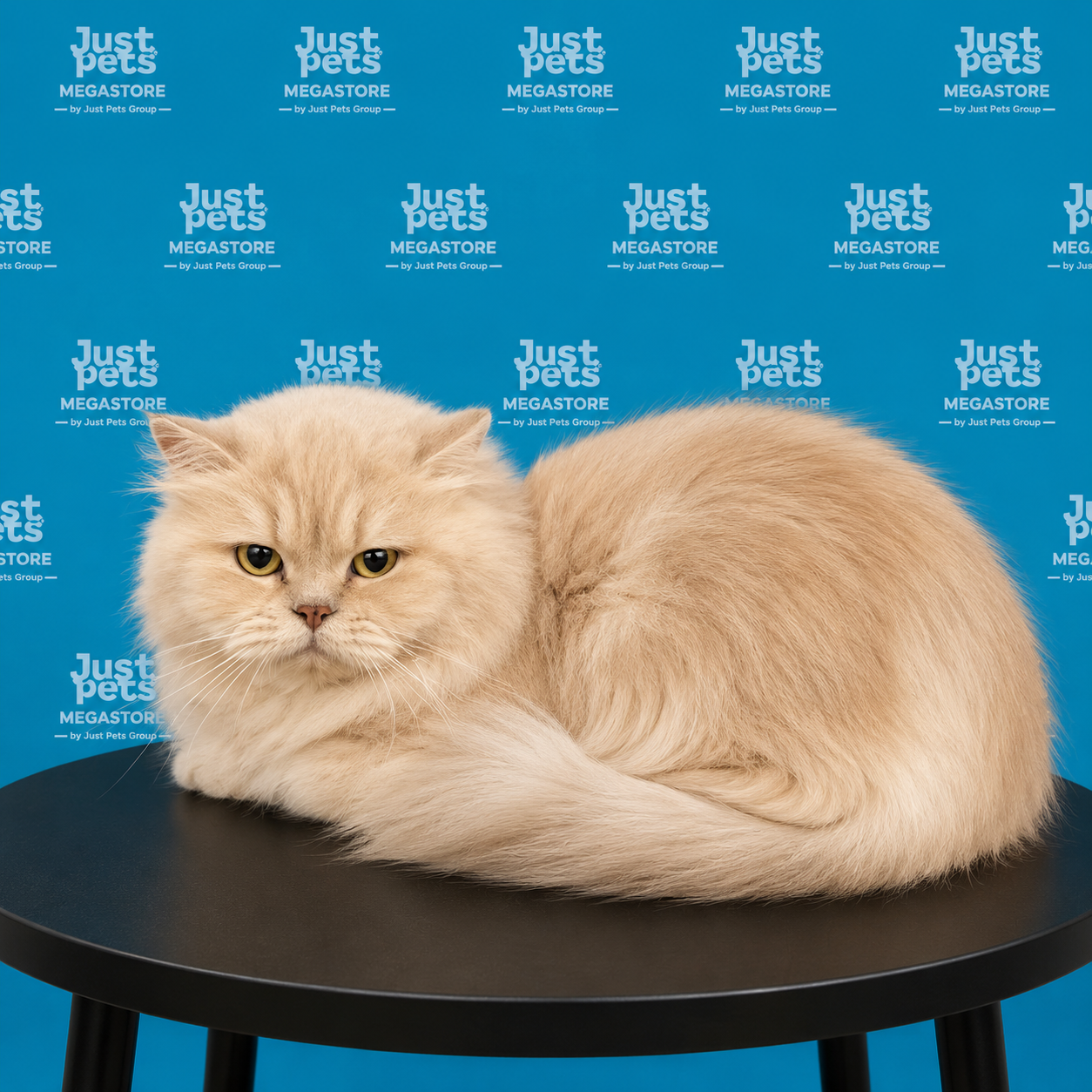 Persian