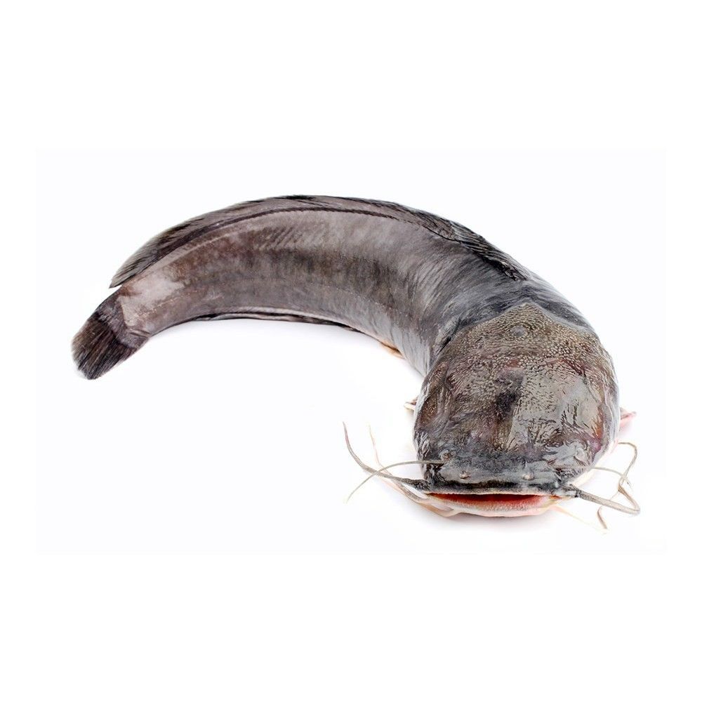 Frozen Catfish (Ikan Keli) Supplier Malaysia | Cheong Vege