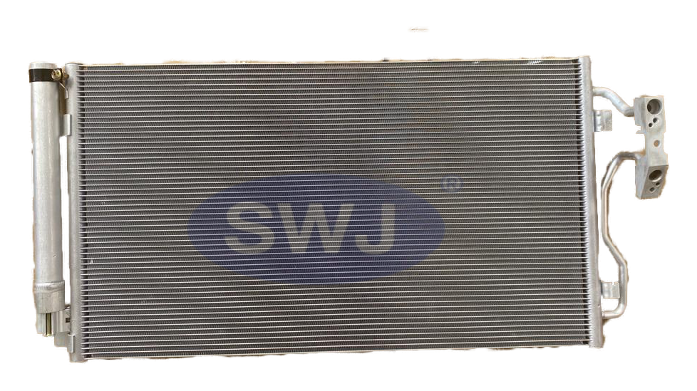 BM F20 (C) [SWJ-595]