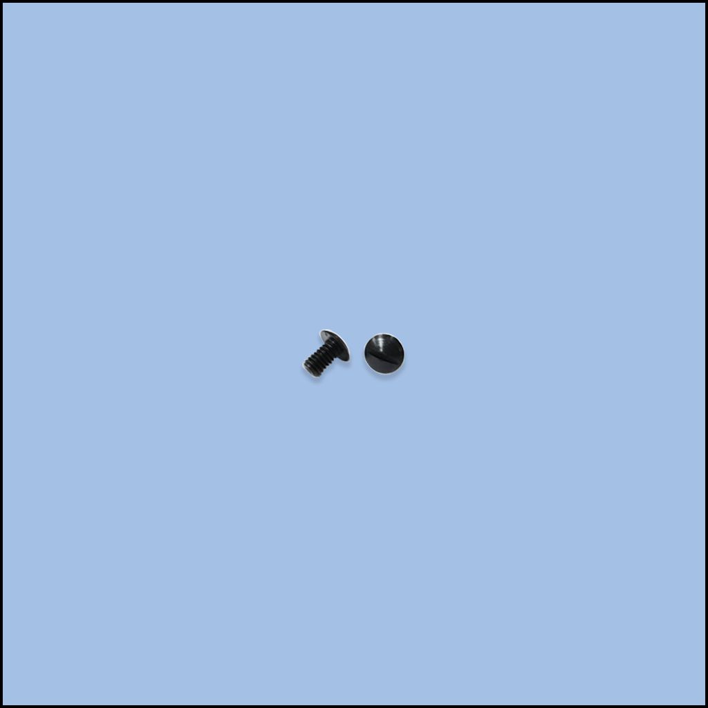 SCREW (110-01500)