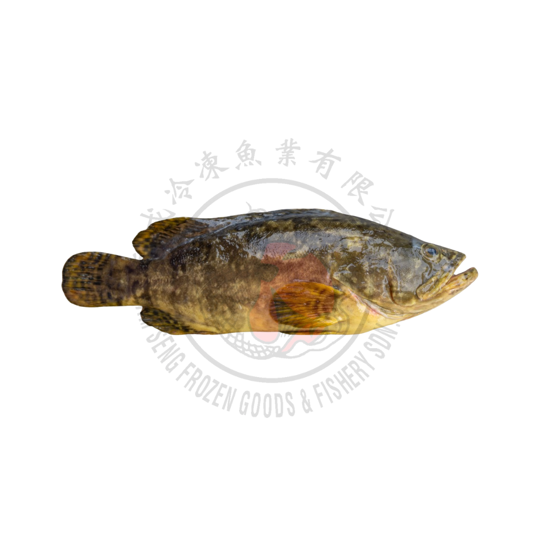 Hybrid Grouper
