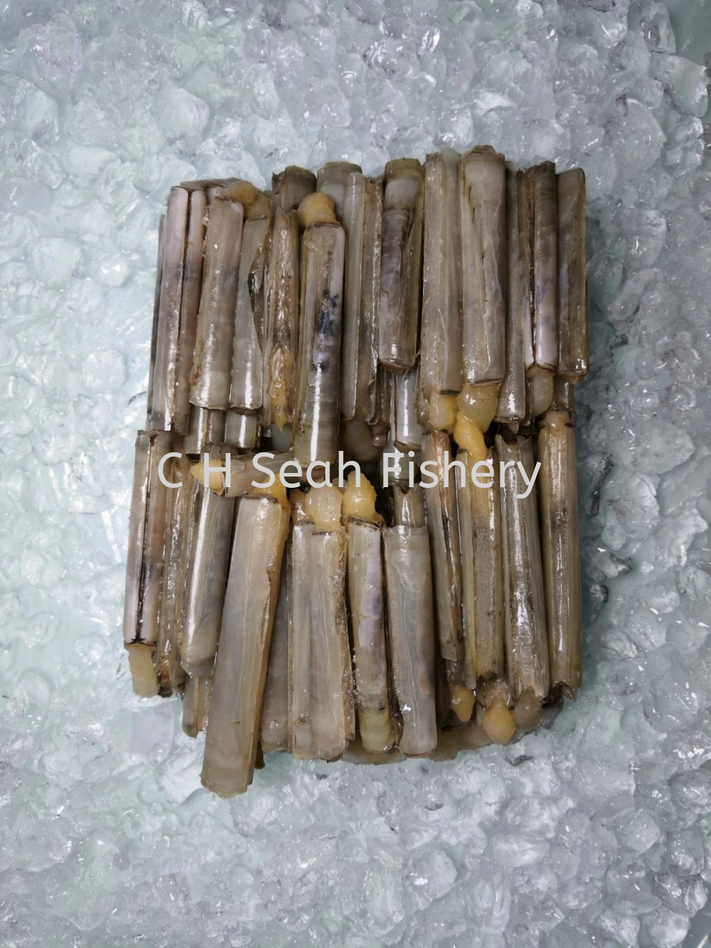 Frozen Bamboo Clam | Razor Shell Selangor, Malaysia, Kuala Lumpur (KL ...