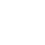 REVO Software Remap Service
