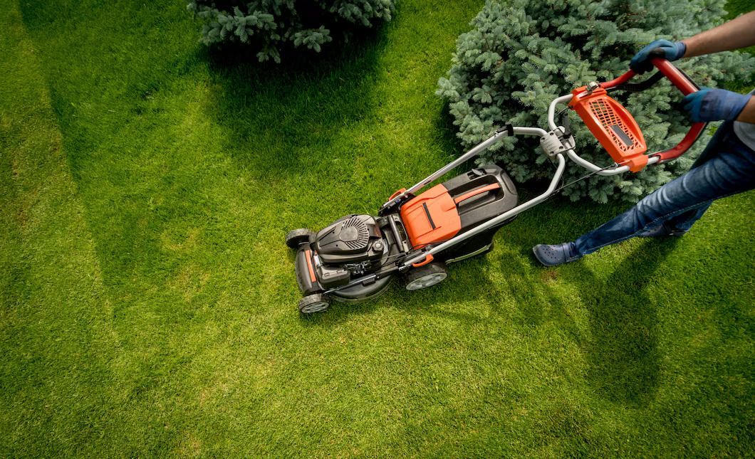  Residential Landscape Maintenance Service